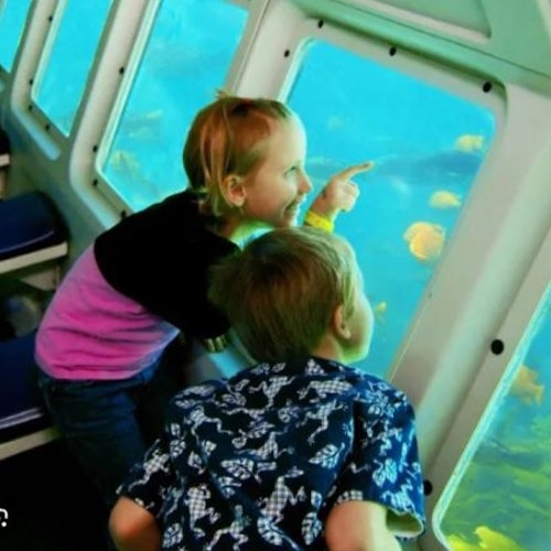 Catalina Island Day Trip with Discover Avalon Scenic Driving Tour