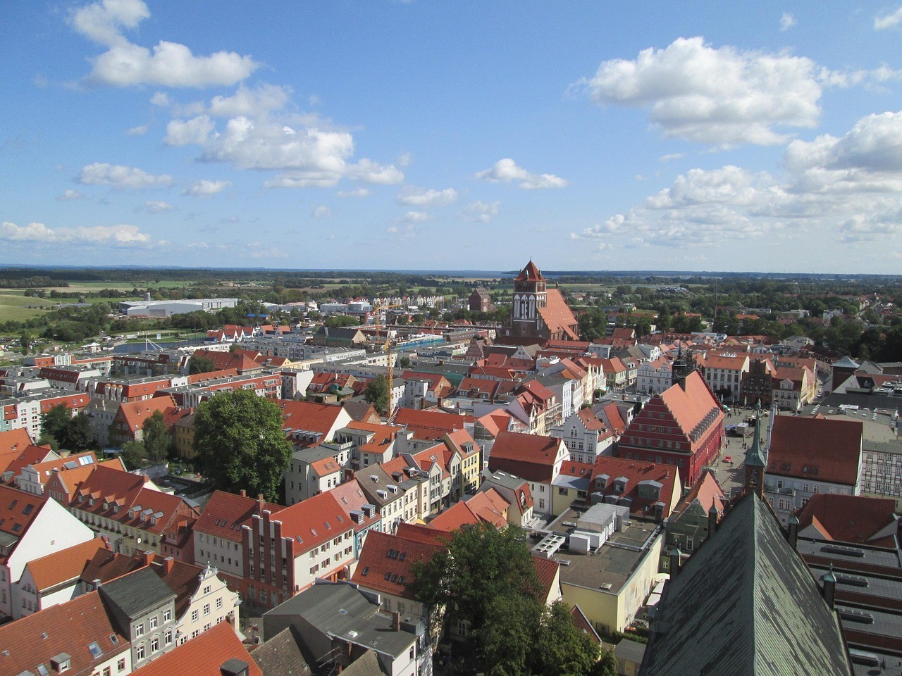 baumpflege Greifswald 