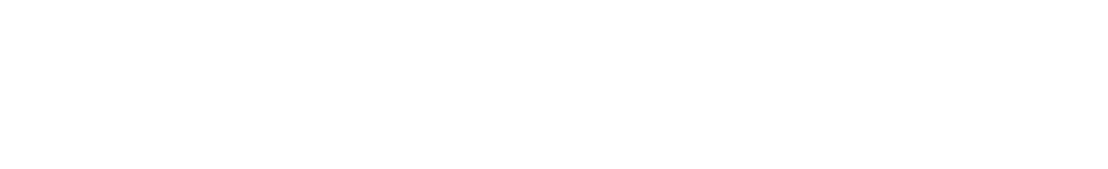 Portrait TV