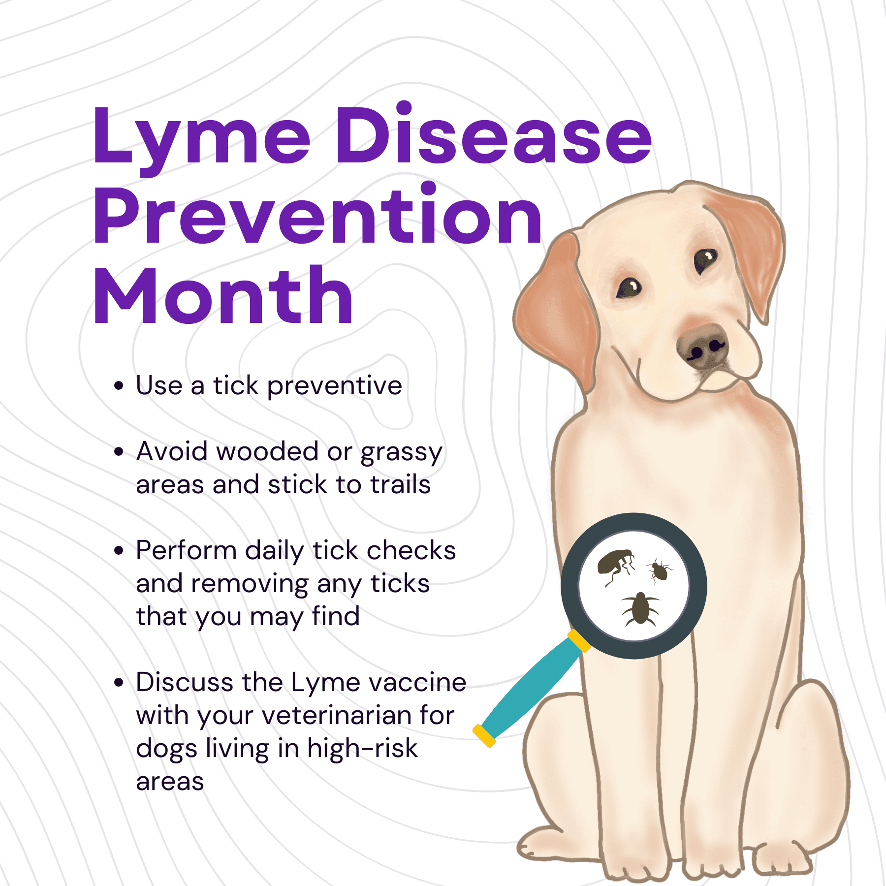 Lyme Disease Prevention Month