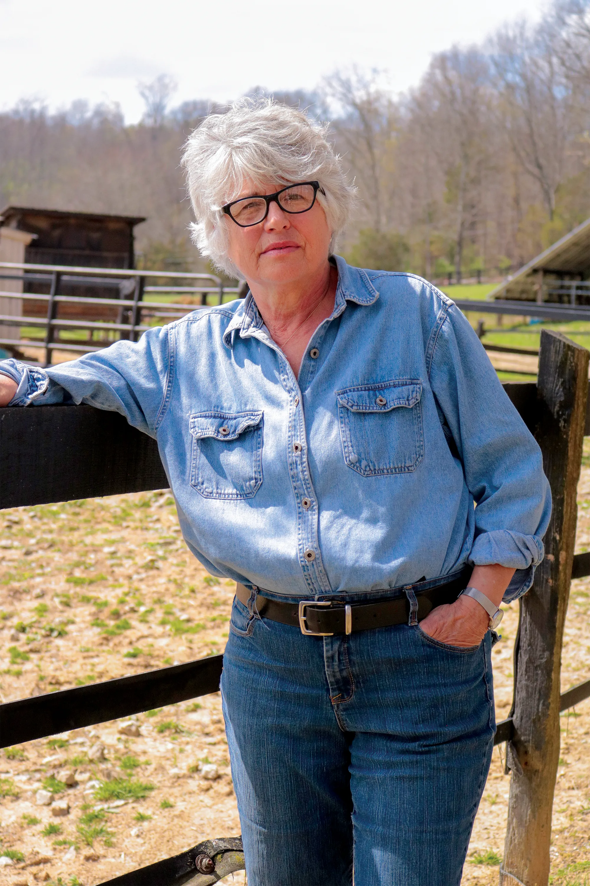 Team collaborating in office