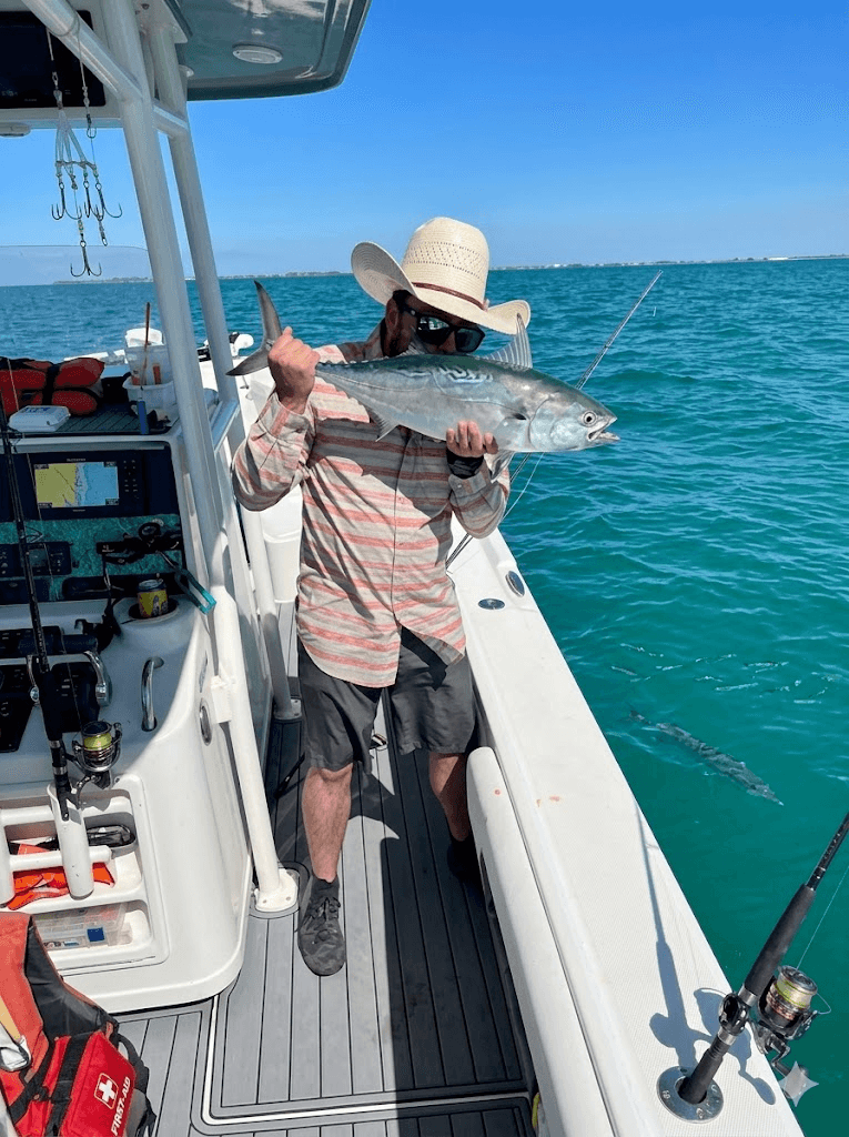 Angler with a little tunny alongside the boat off Anna Maria Island