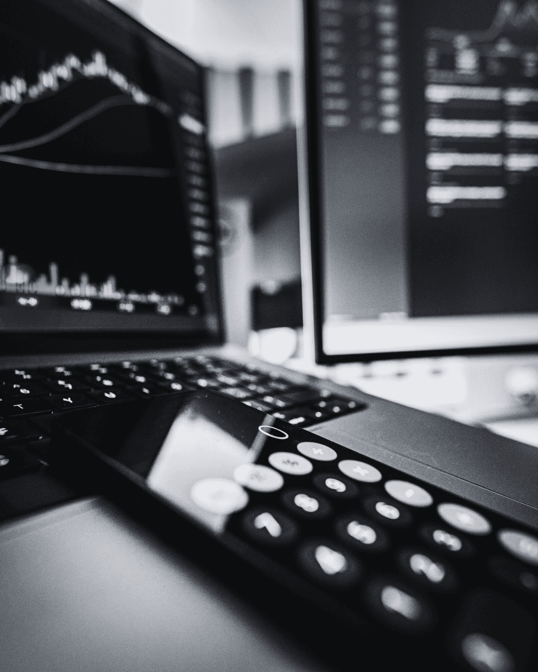 Pink tulip or flower bud on a thin green stem