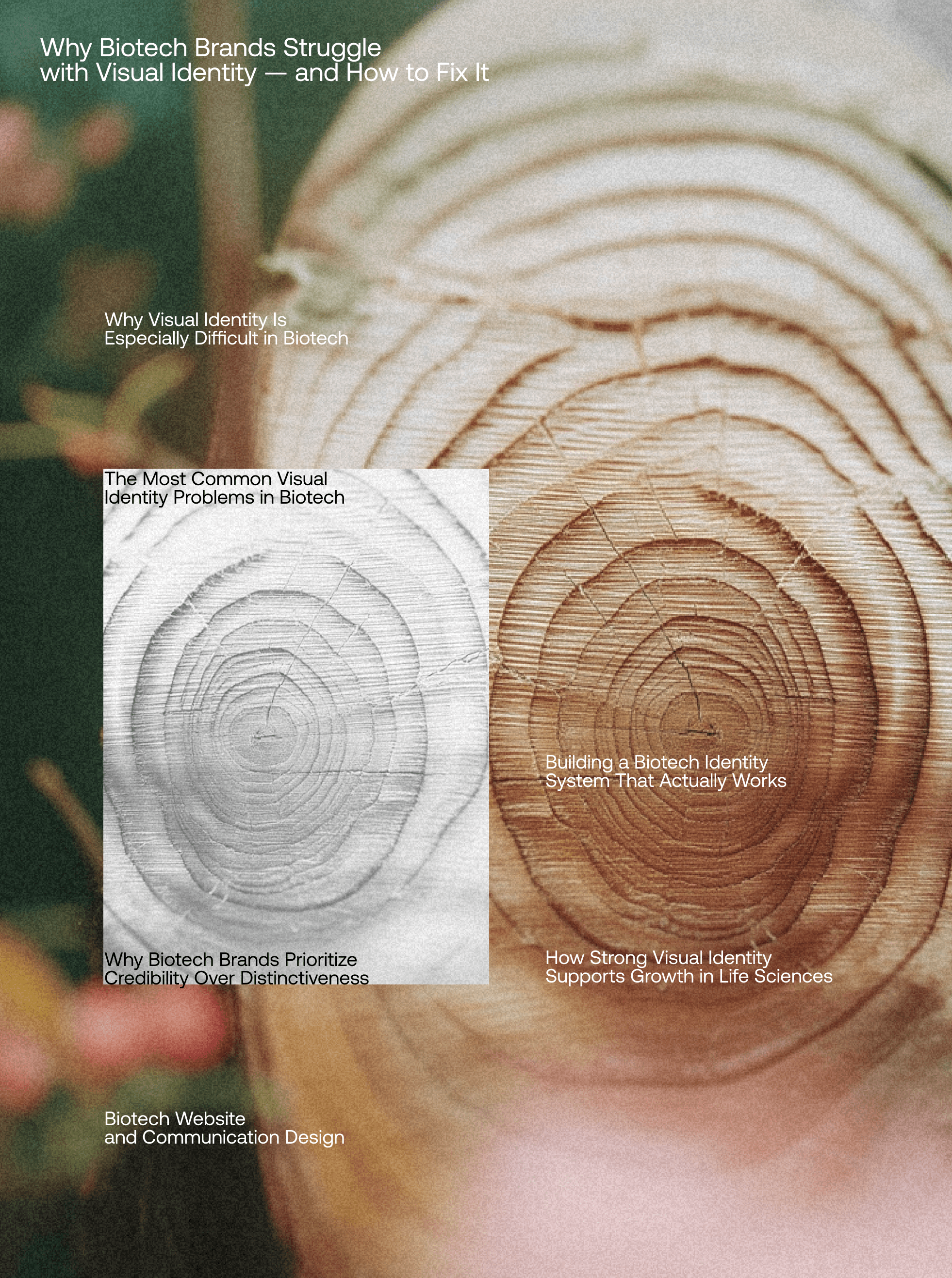 10 Website Design Mistakes That Kill B2B Conversions (and How to Fix Them)