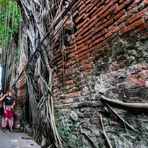 Discover the secrets of Chinatown's back alleys in Bangkok!
