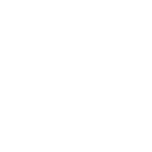 Logo FInsmart