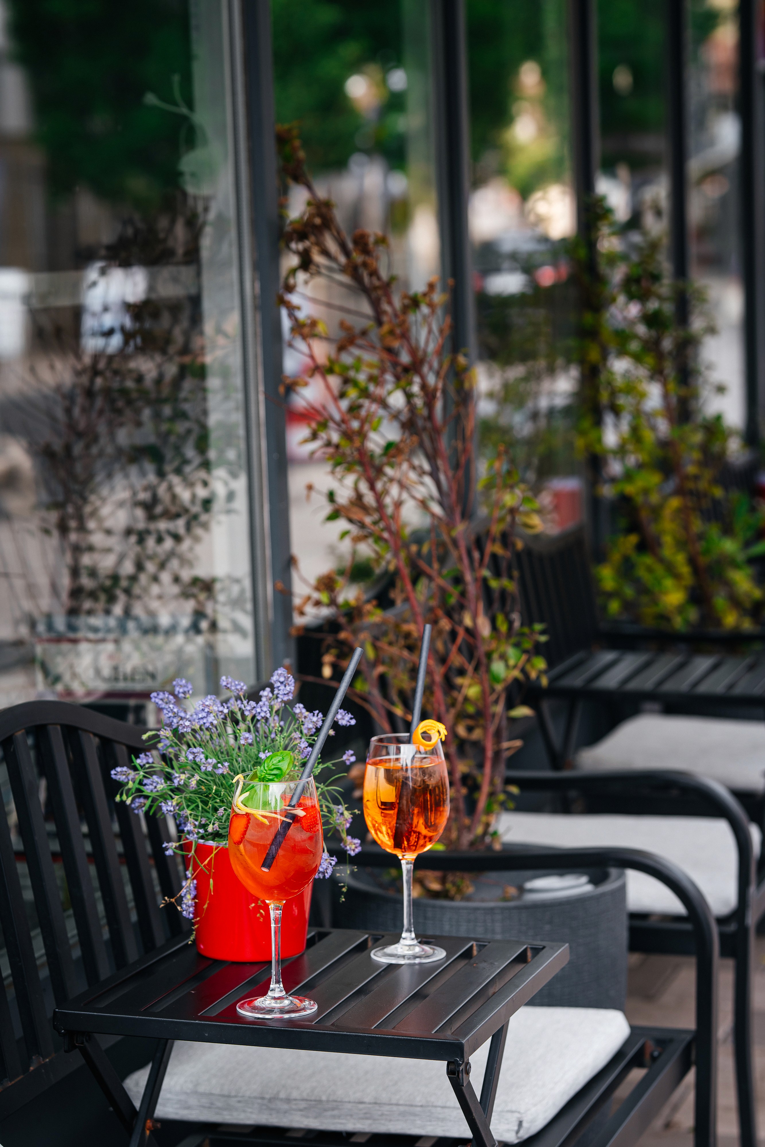 A drink from La Paloma