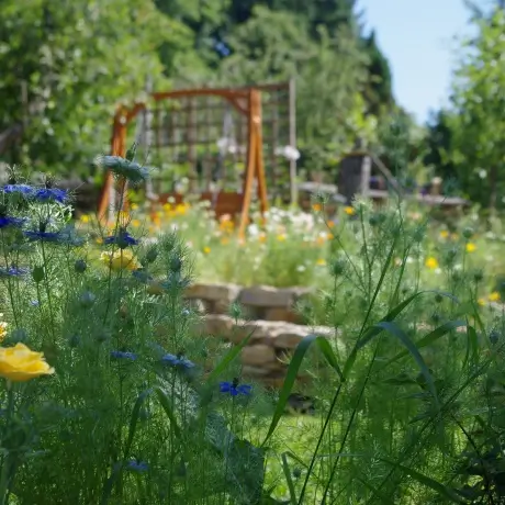 Kamenné zídky a místo k relaxaci aneb jak vytvořit krásnou zahradu.