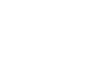 Dummy logo