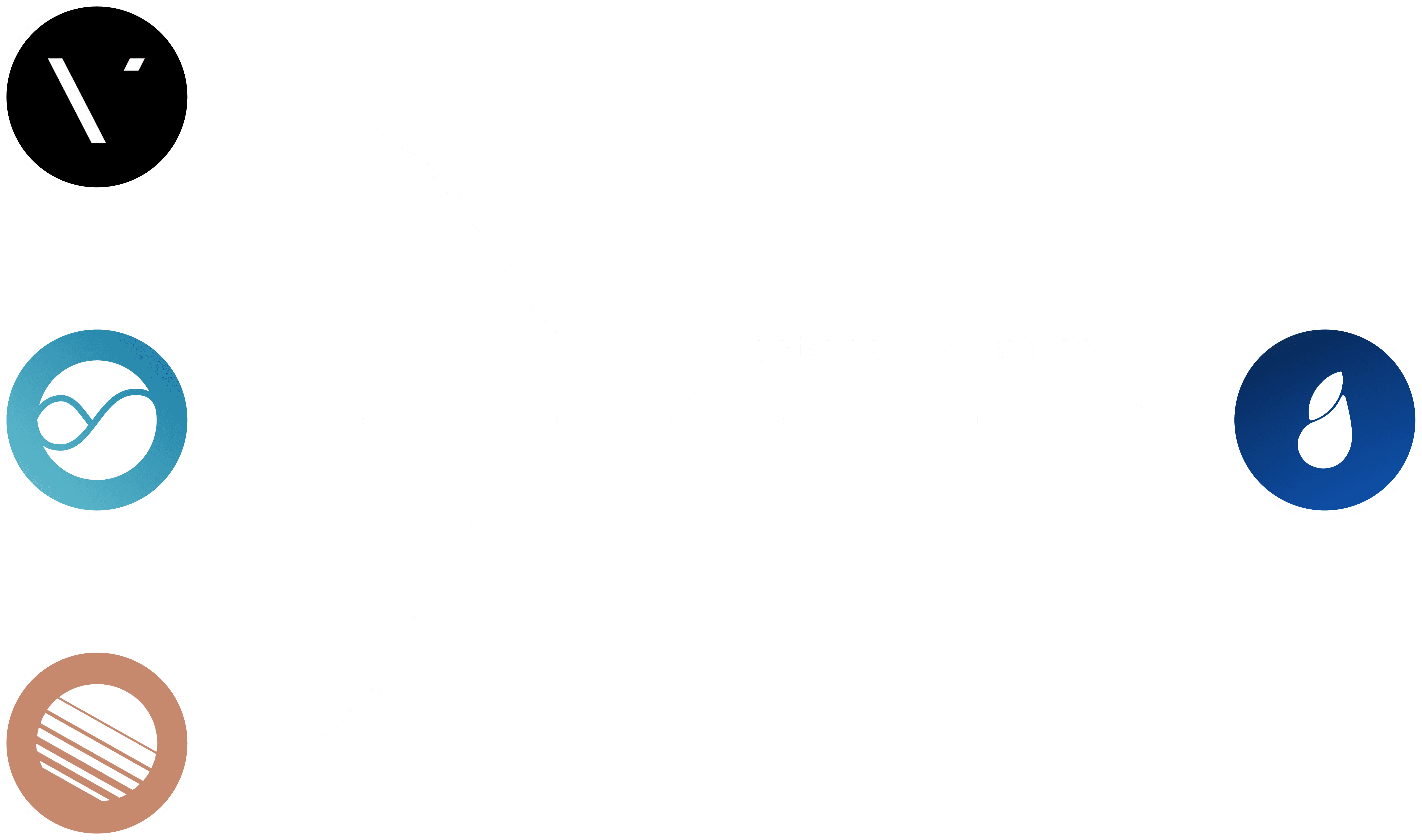 User Flow Journey of the Bioinsights platform