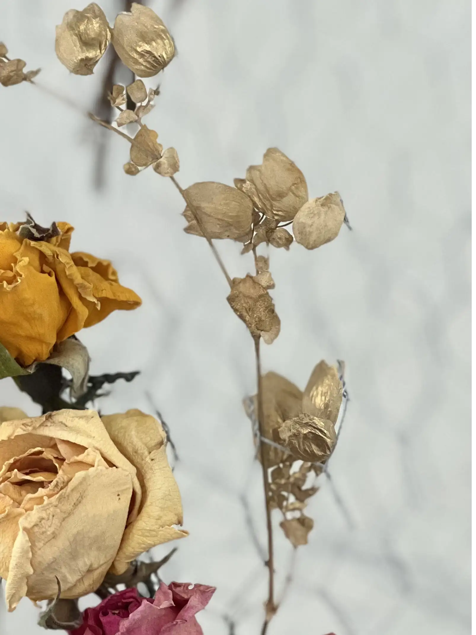 Detalle de flores secas en tonos dorados y amarillos para propuesta artística con estética botánica y nostálgica