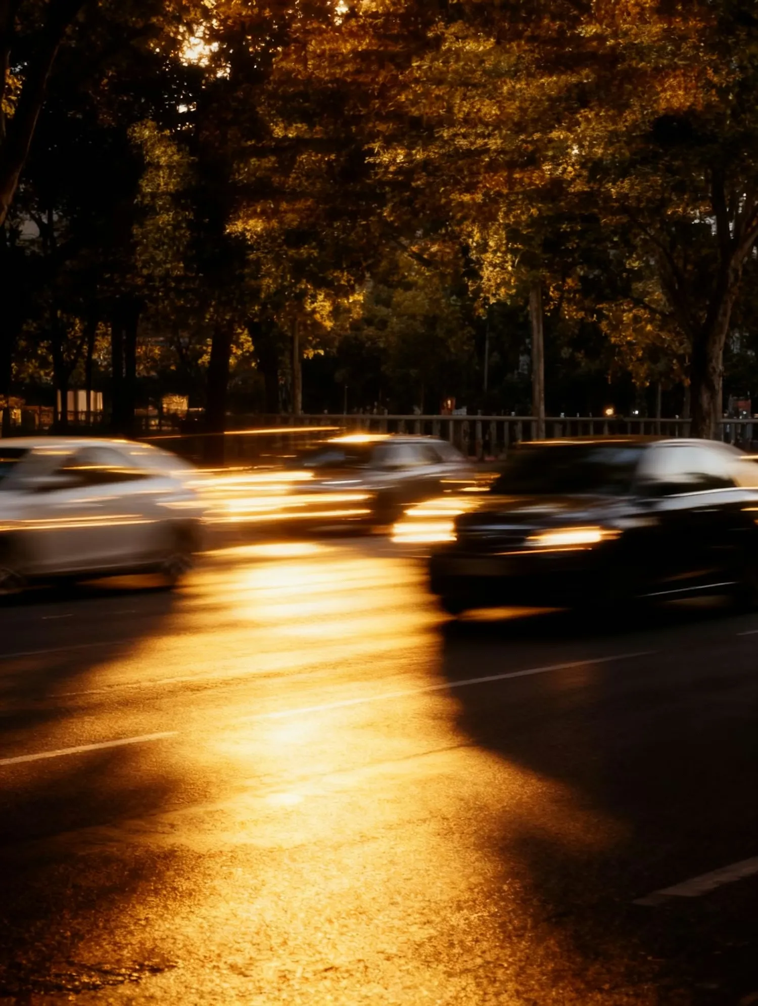 Sunset Urban Motion