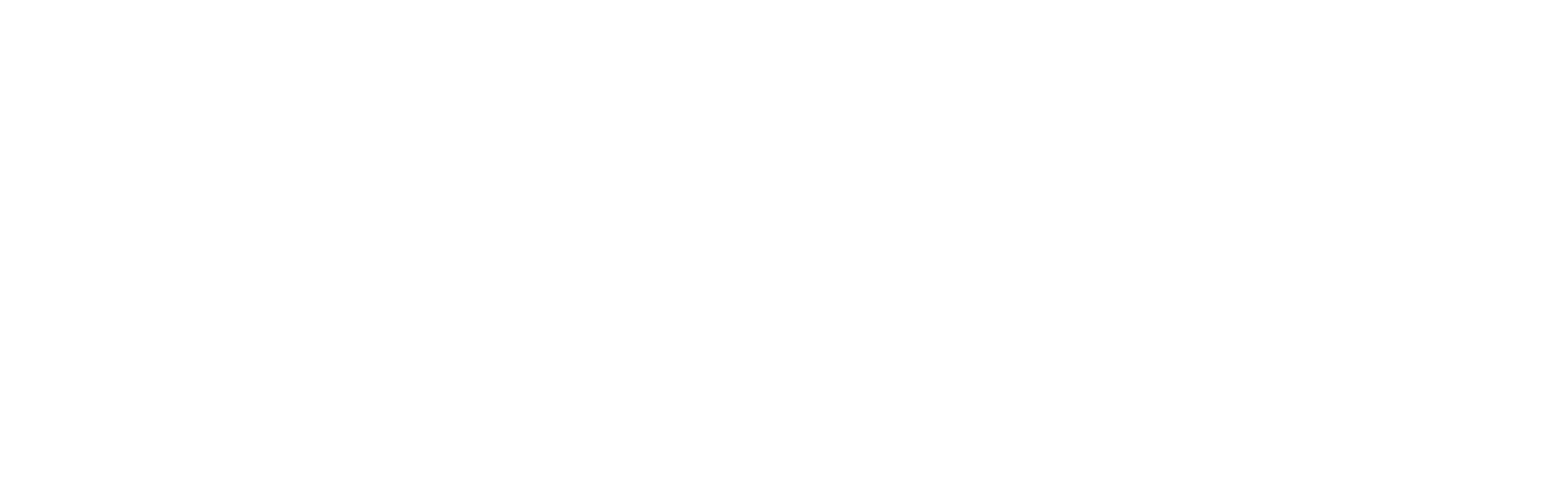 BT Group Logo white