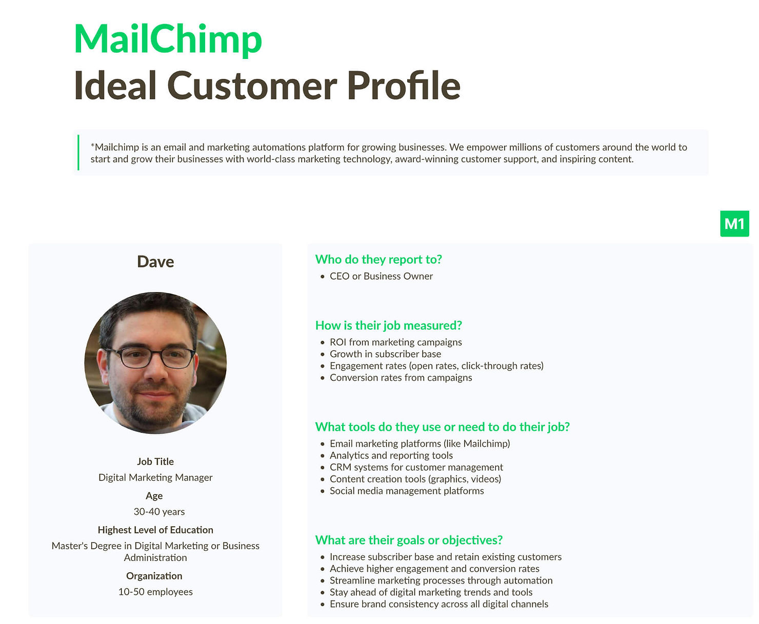 ideal customer profile example