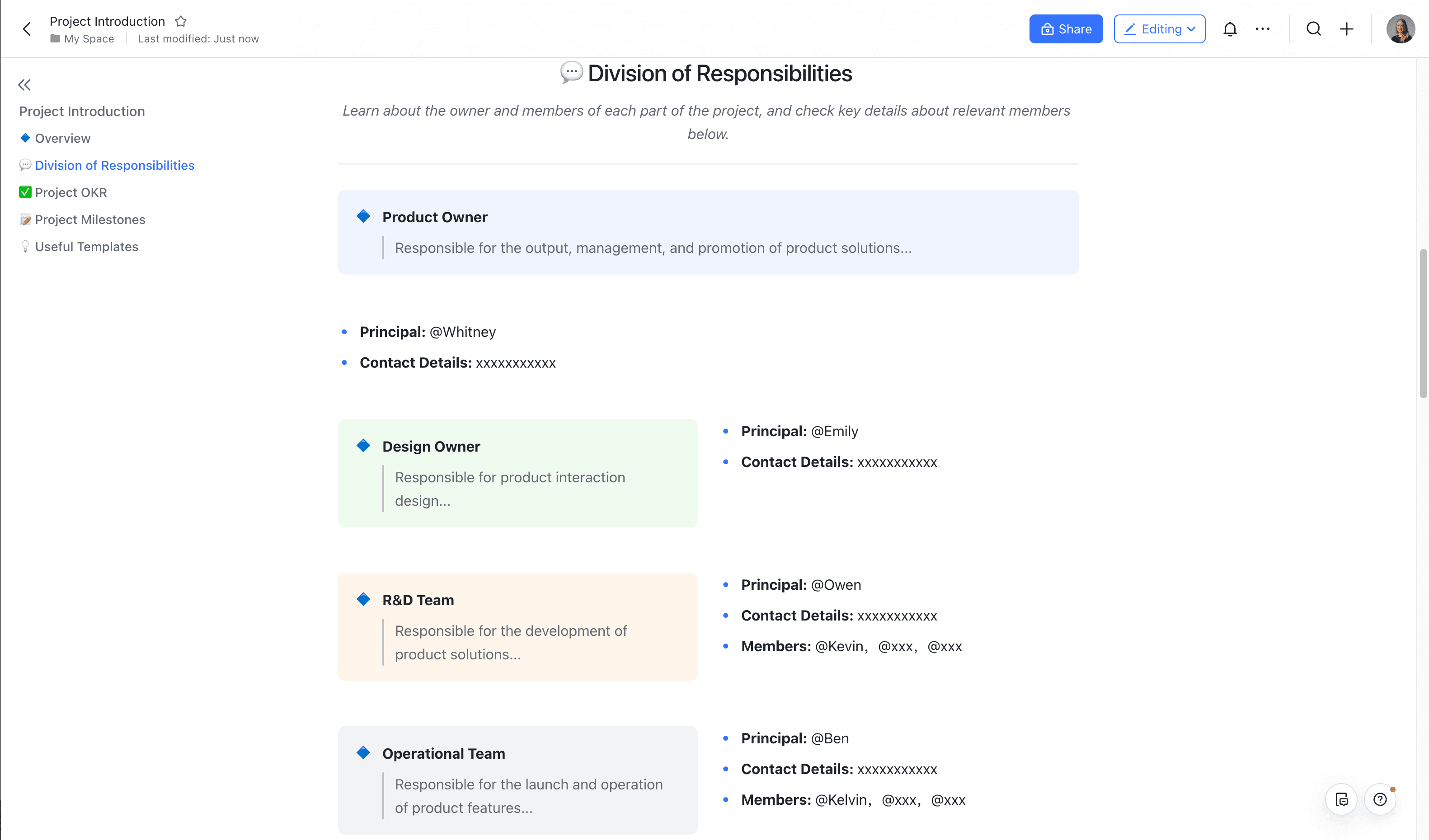 Project Introduction Template 