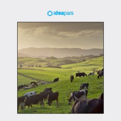 Portada de Cooperativismo moderno, estudio de IdeaPaís, mostrando un paisaje del campo chileno con un borde en color blanco invierno.