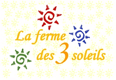 Patisseries sans gluten sans lactose maison pastel patisserie Cognac