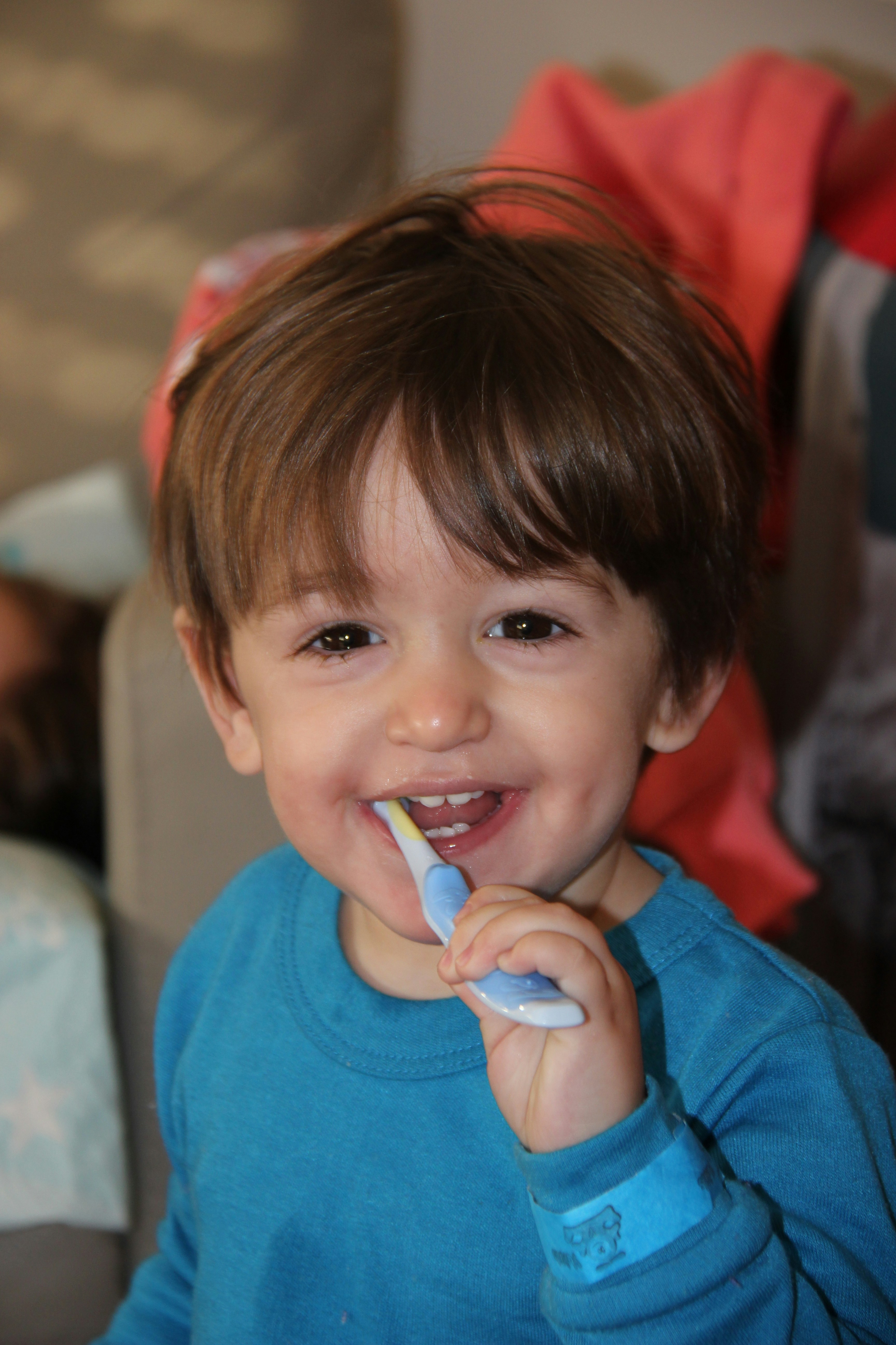 Pediatric Dentist in Rochelle Park