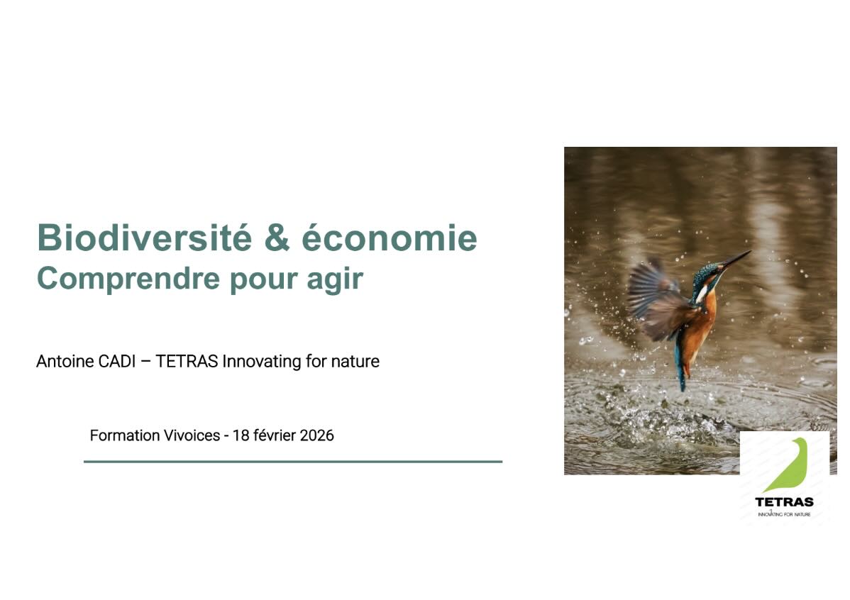 Close-up of lush, dark green leaves, some glossy and wet, against a muted background.