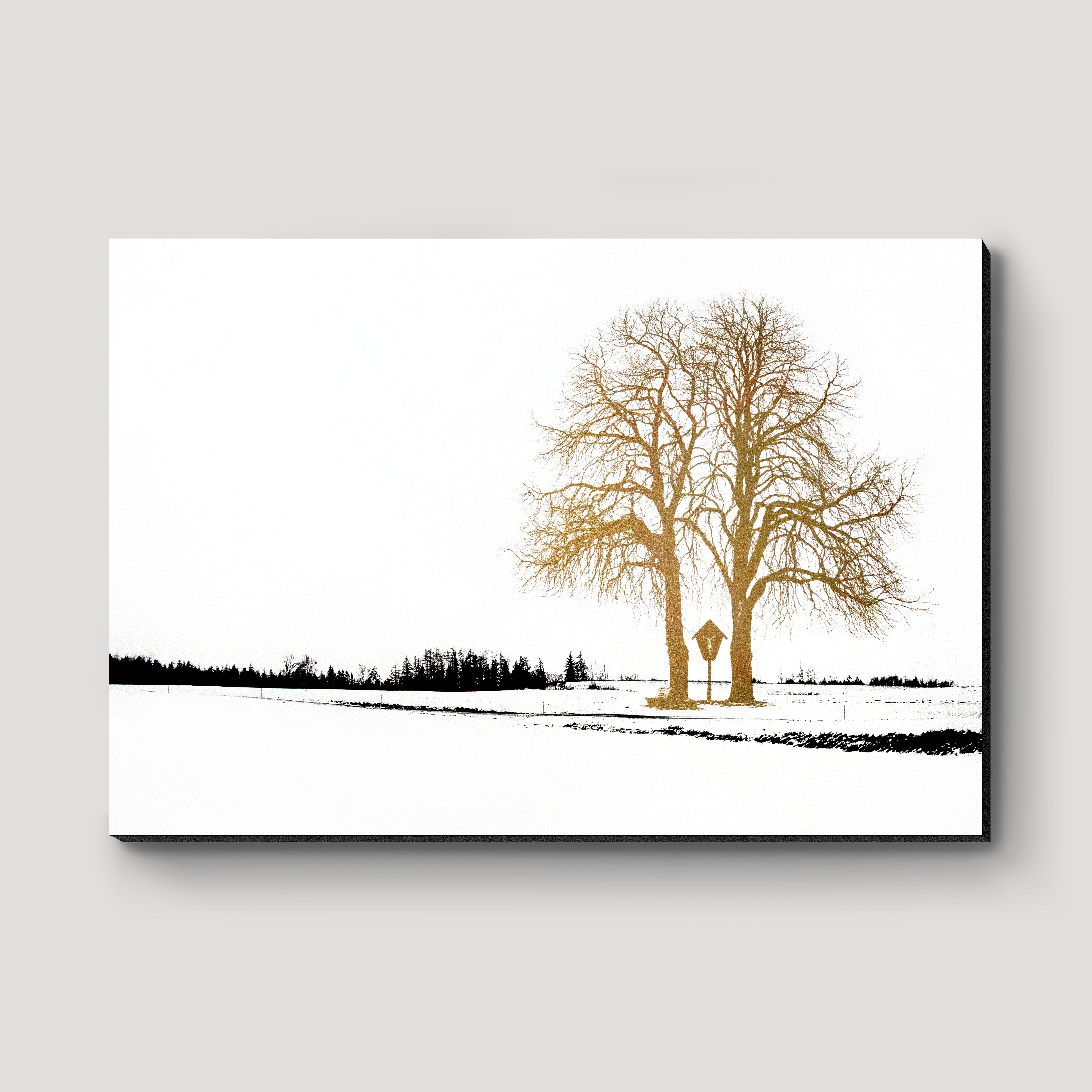 Ein Baum in Schneelandschaft