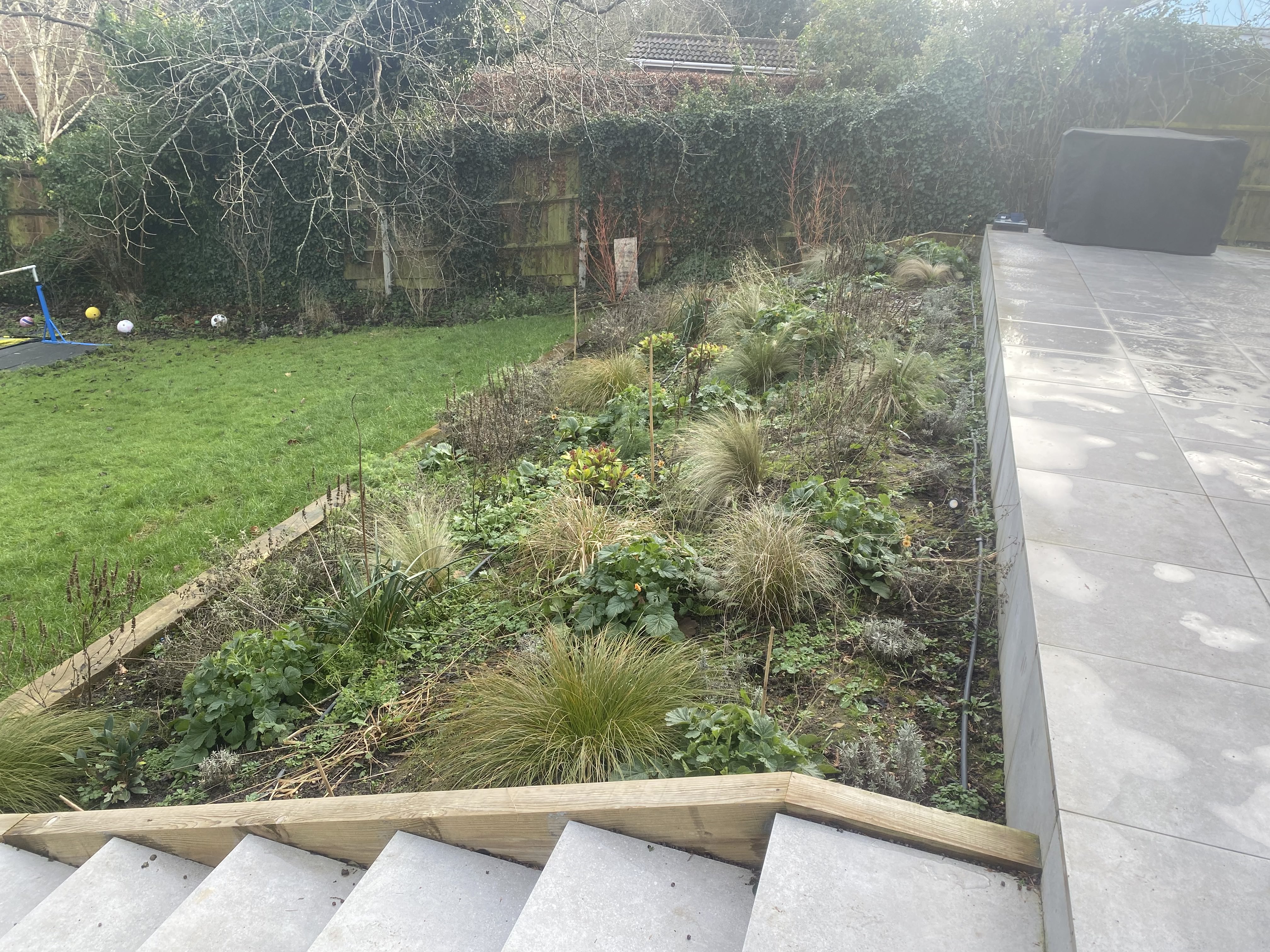 Modern residential house featuring a large glass extension and a multi-level landscaped garden with stone steps and fresh greenery in Chalfont St Peter