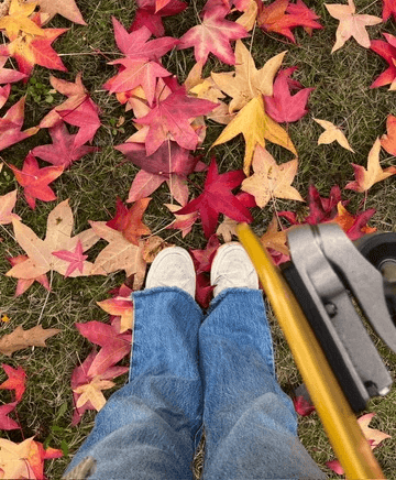 The image featured in the middle of the about us page