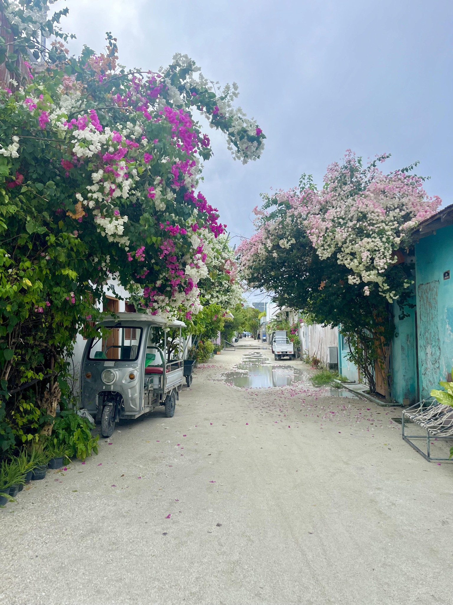 Wedge Webflow template product image