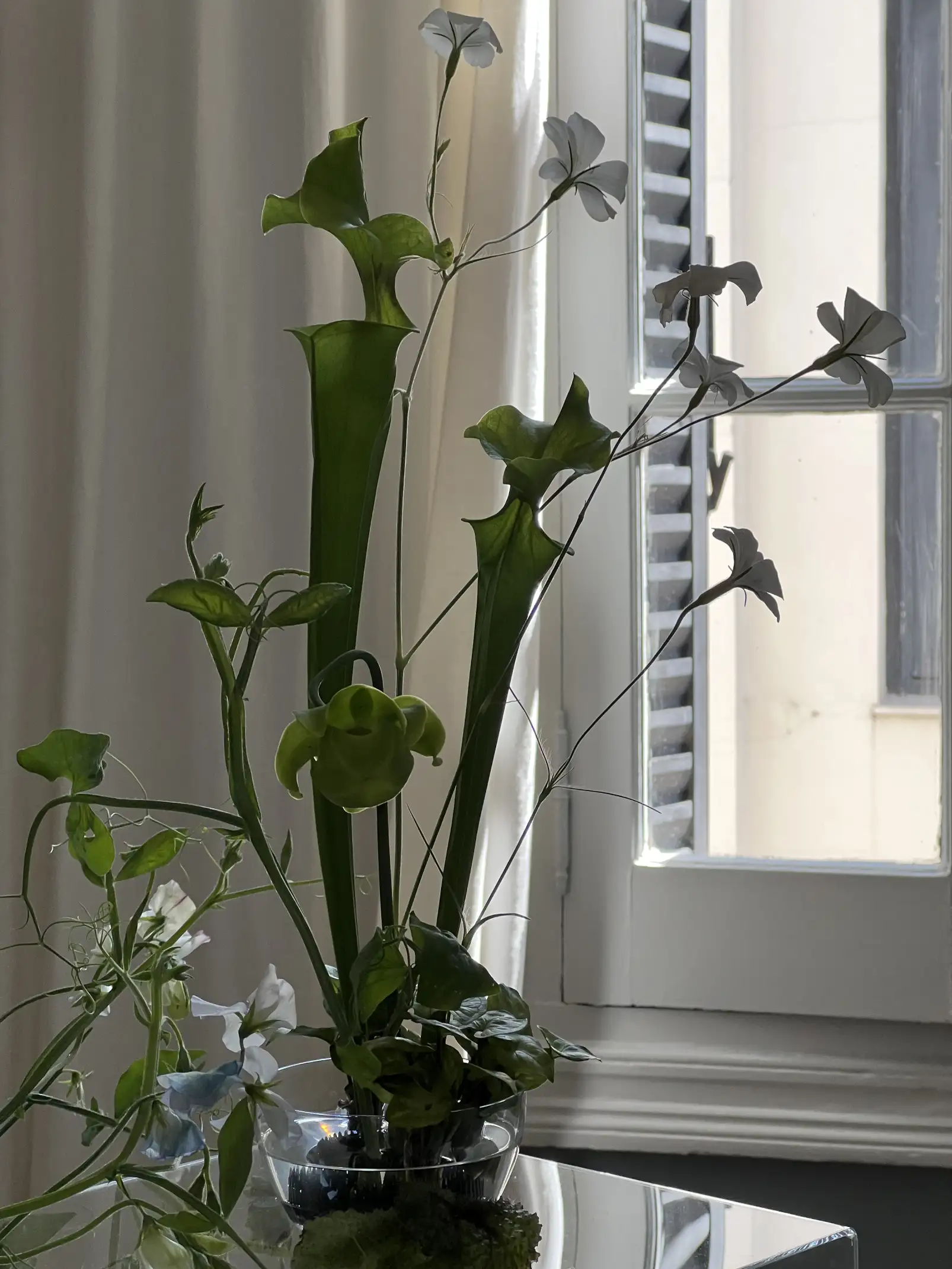 Arreglo de flores verdes y blancas en vaso de cristal junto a ventana iluminada, con fondo neutro.