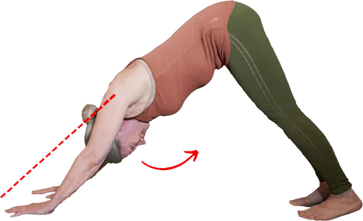 The same Downward Dog, now with a red dotted line and arrow showing the head jutting forward out of neutral in order to reach the arms.