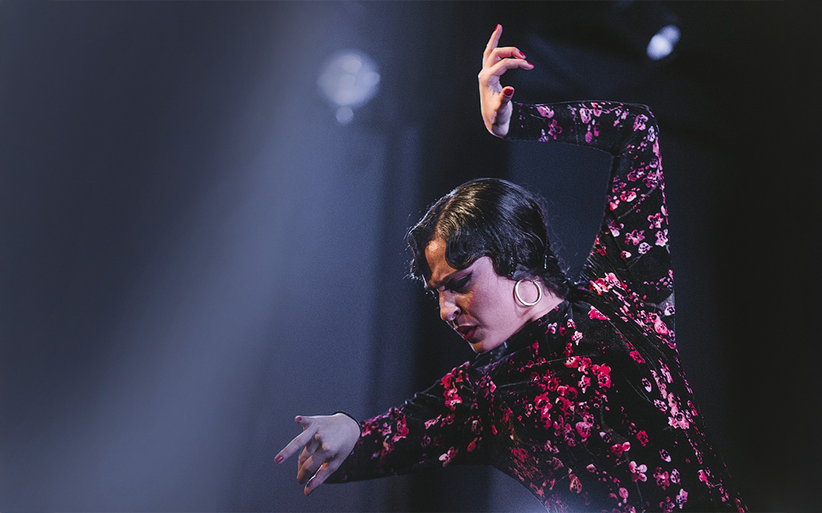Flamenco dancer performing at Casa AnaFlamenco Show.