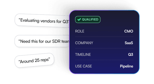 Conversation fragments automatically transformed into structured qualification data including role, company fit, buying timeline, and use cas