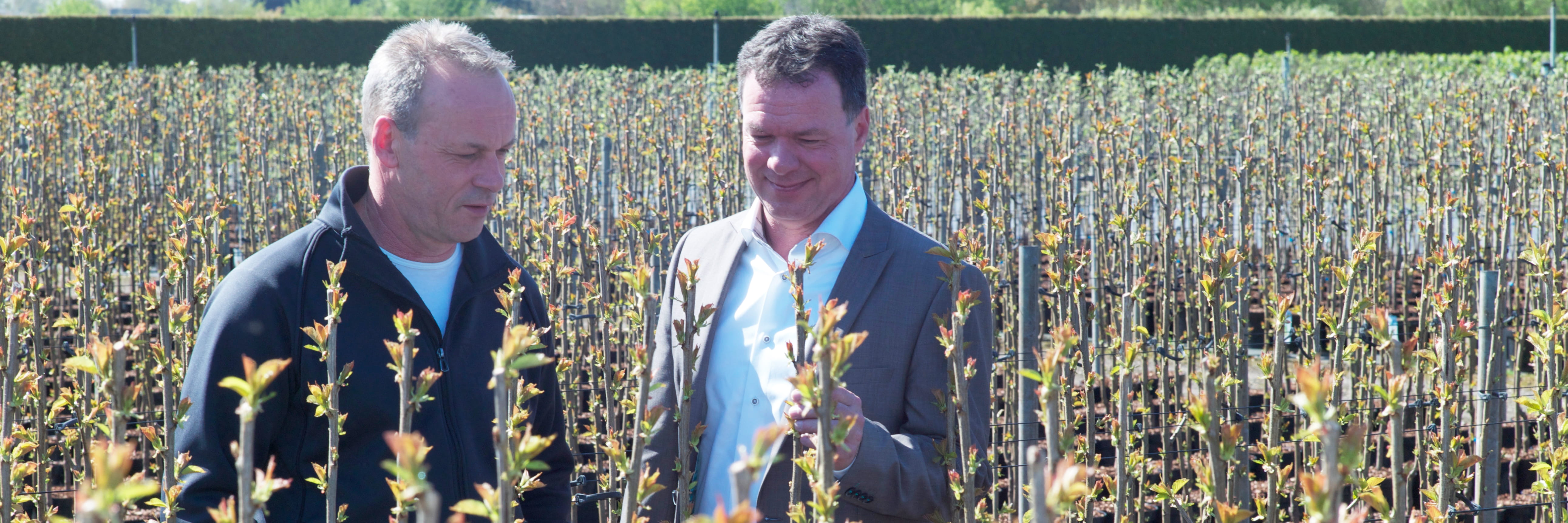 Advies Horti Value