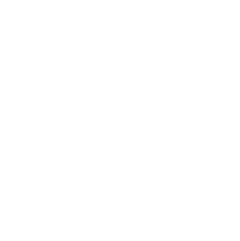 Next Arrow
