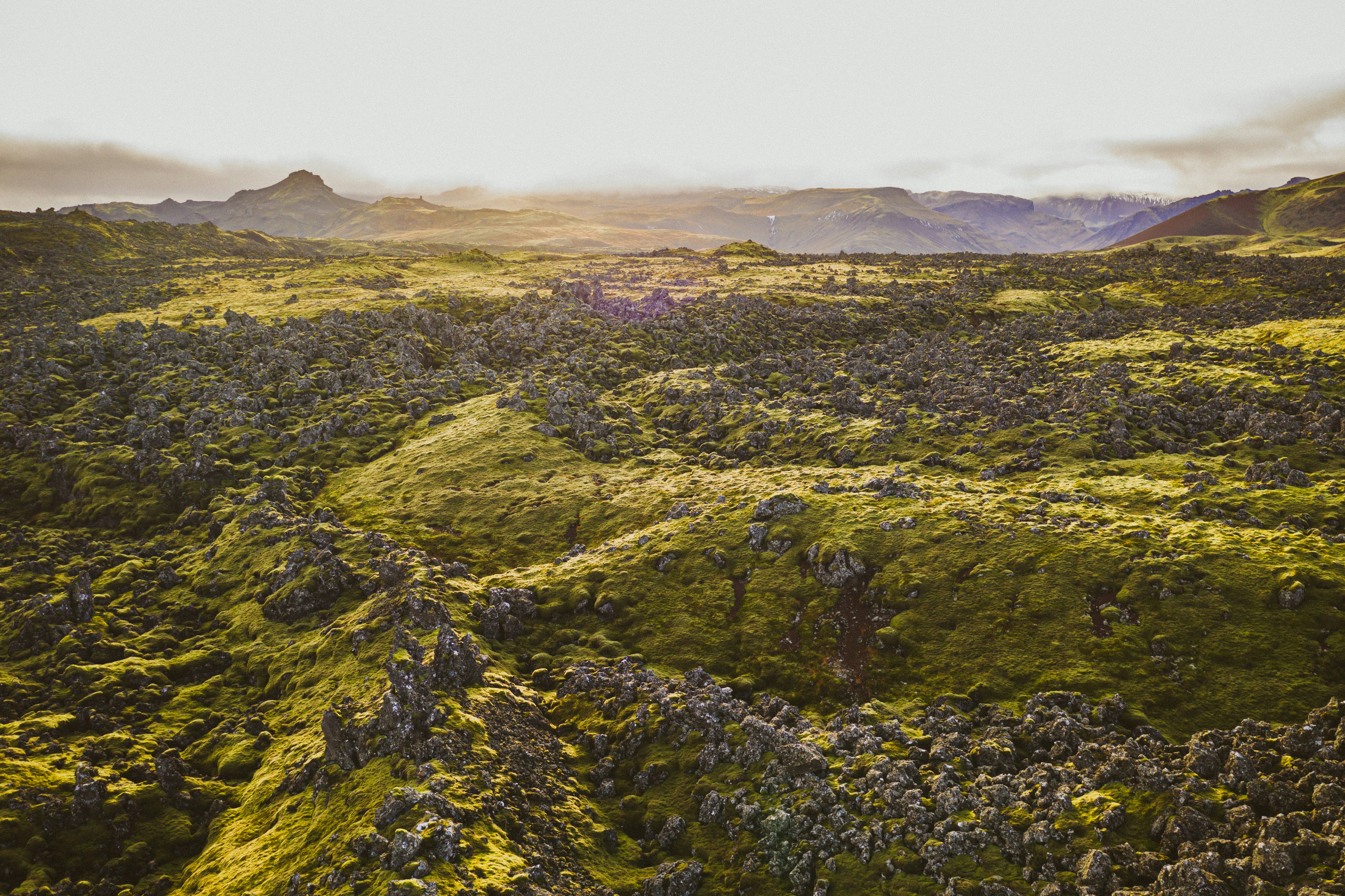 Western Region area, covered in Icelandic moss