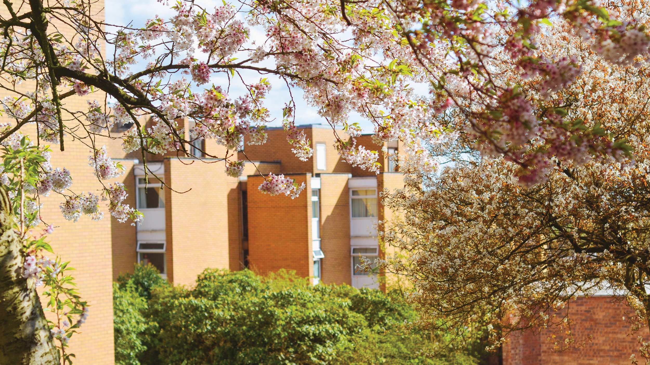 Keele-University-012.jpg