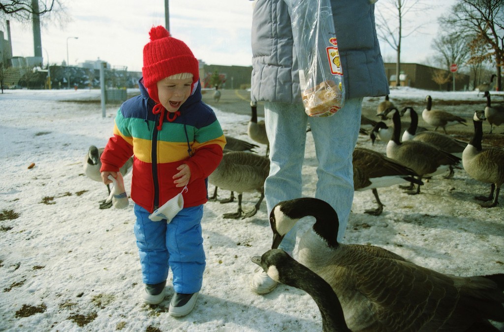 Little happy kid in the snow with a goose by the side