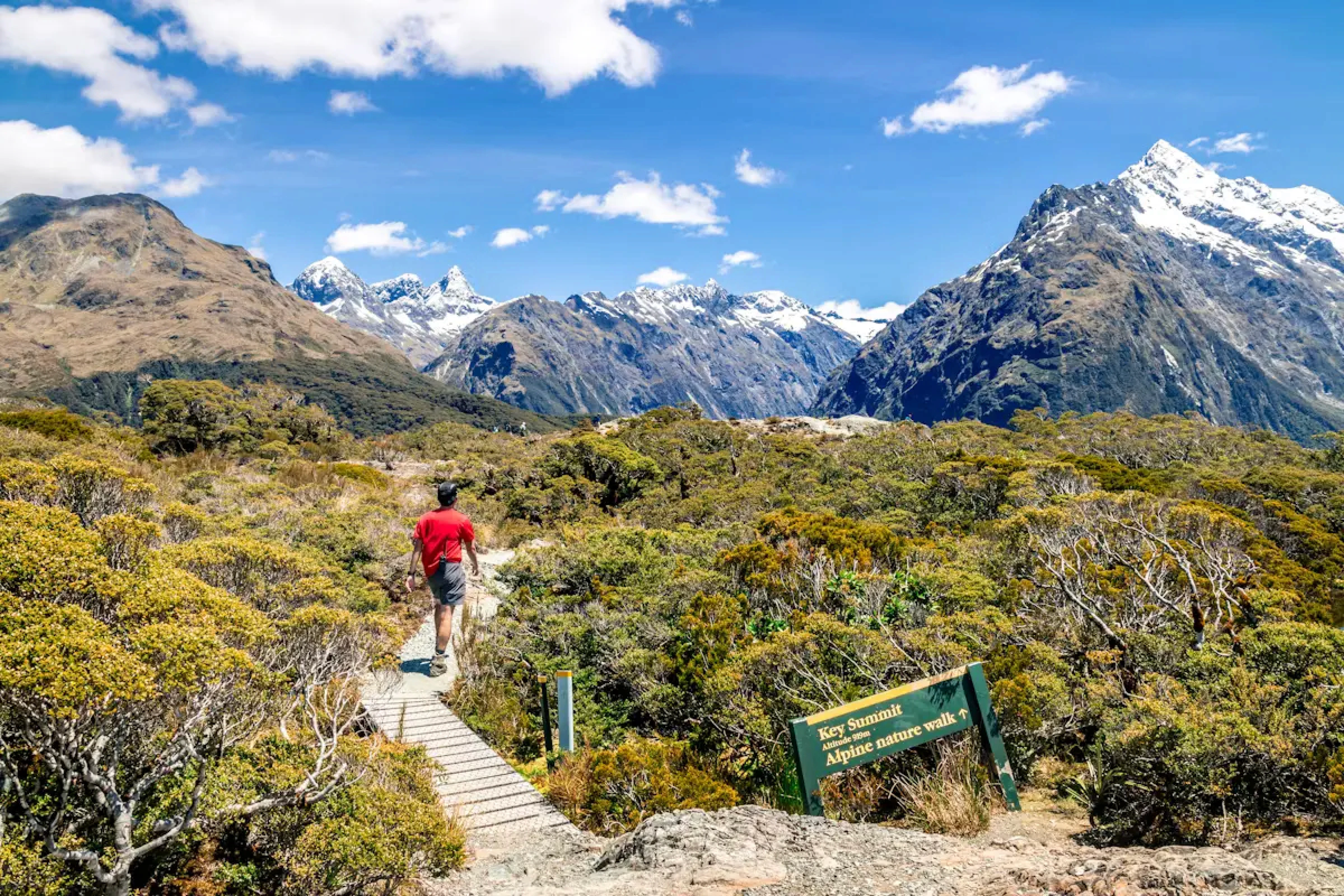 Routeburn Treks