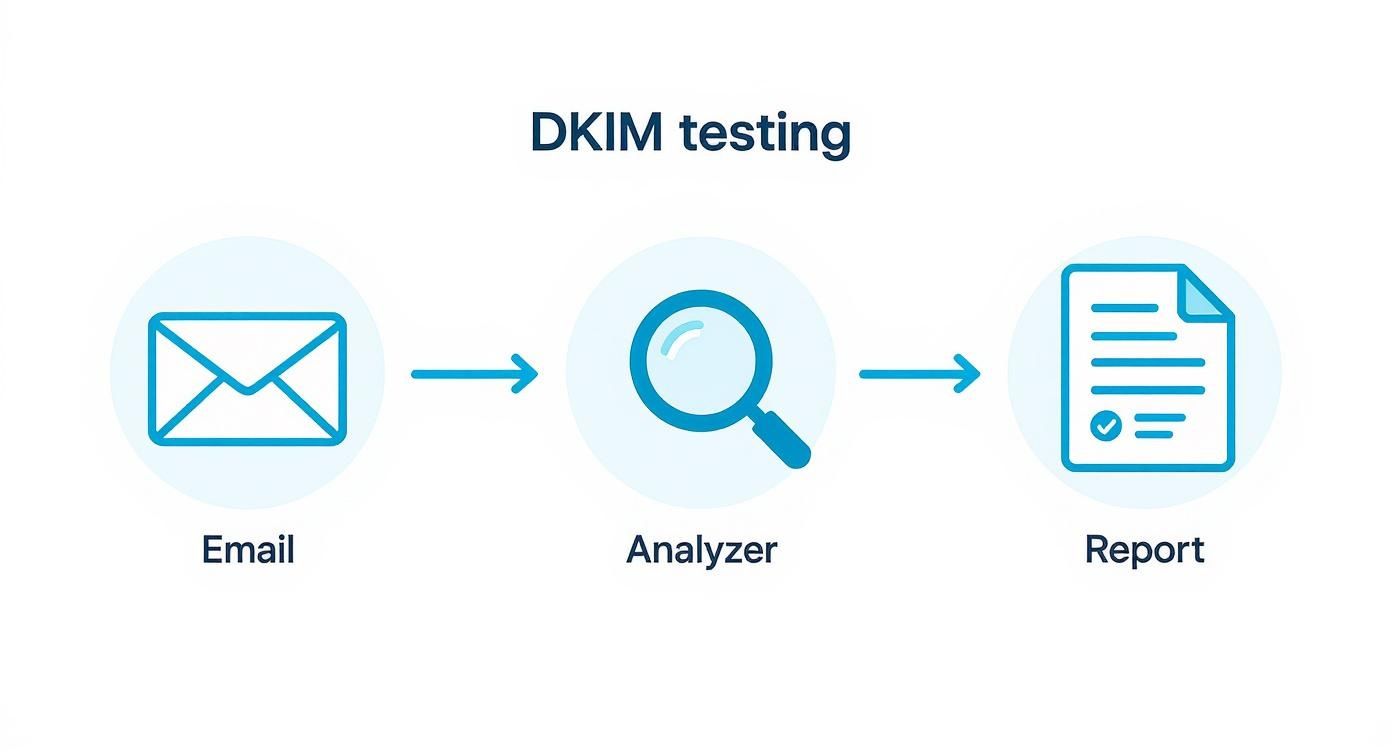 Infographic about spf dkim dmarc test