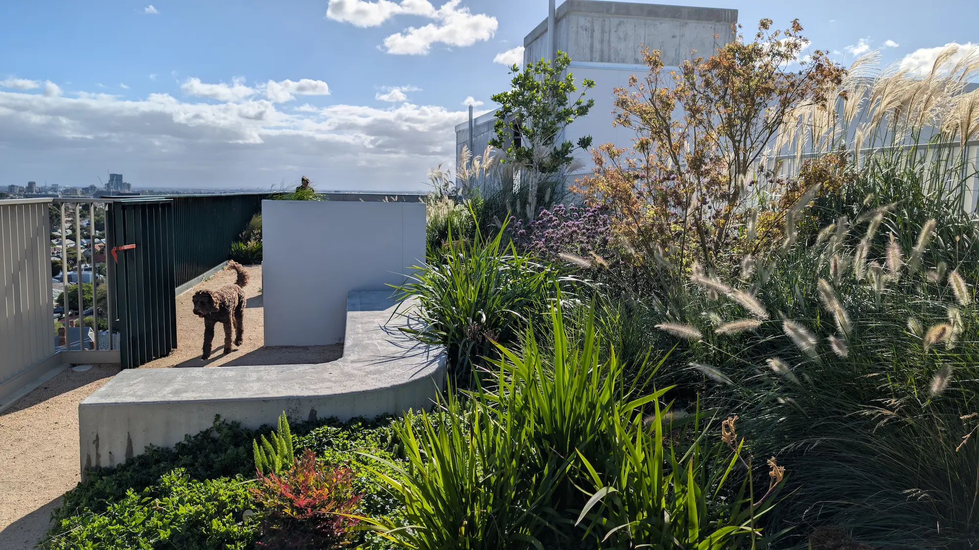 Photograph of studio.