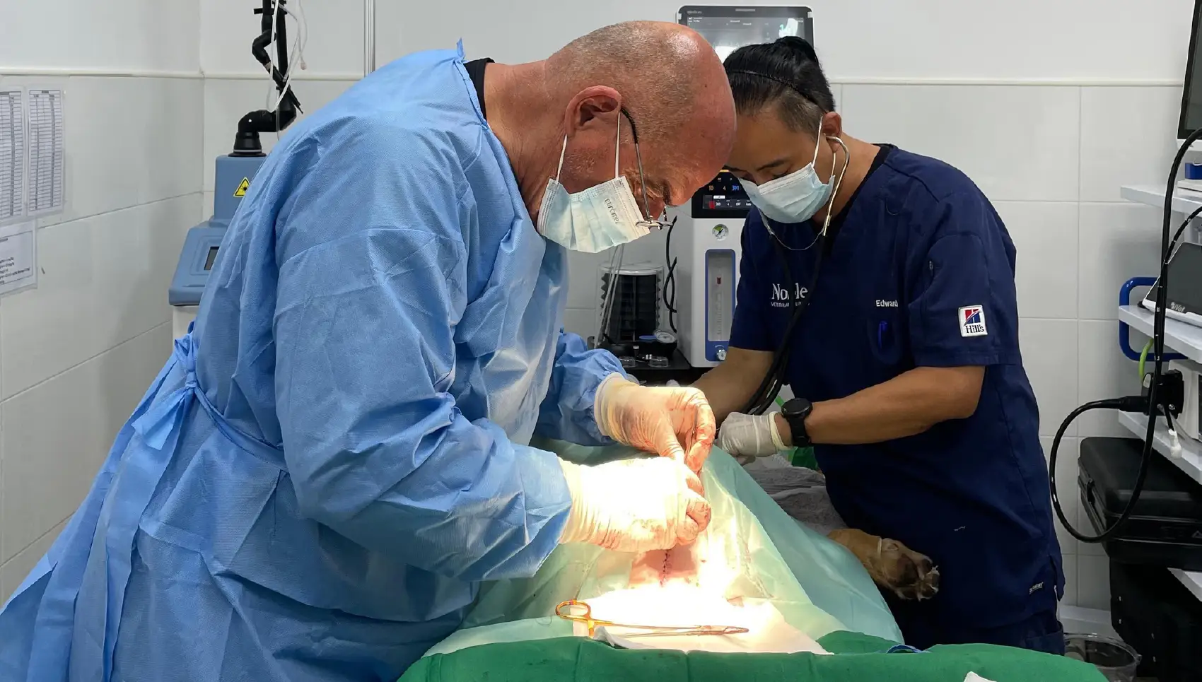Dr Nenad performing an opration on Roxy.
