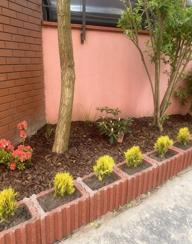 Nasadzenia przy chodniku