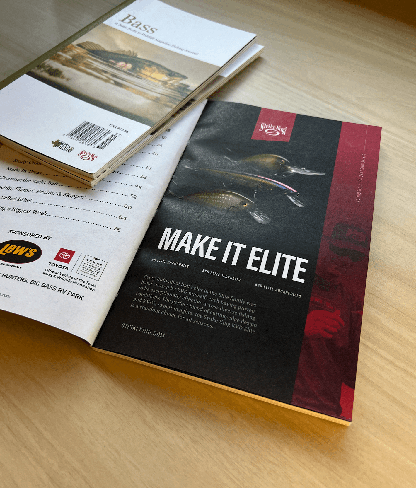 Print Ad in Catalog