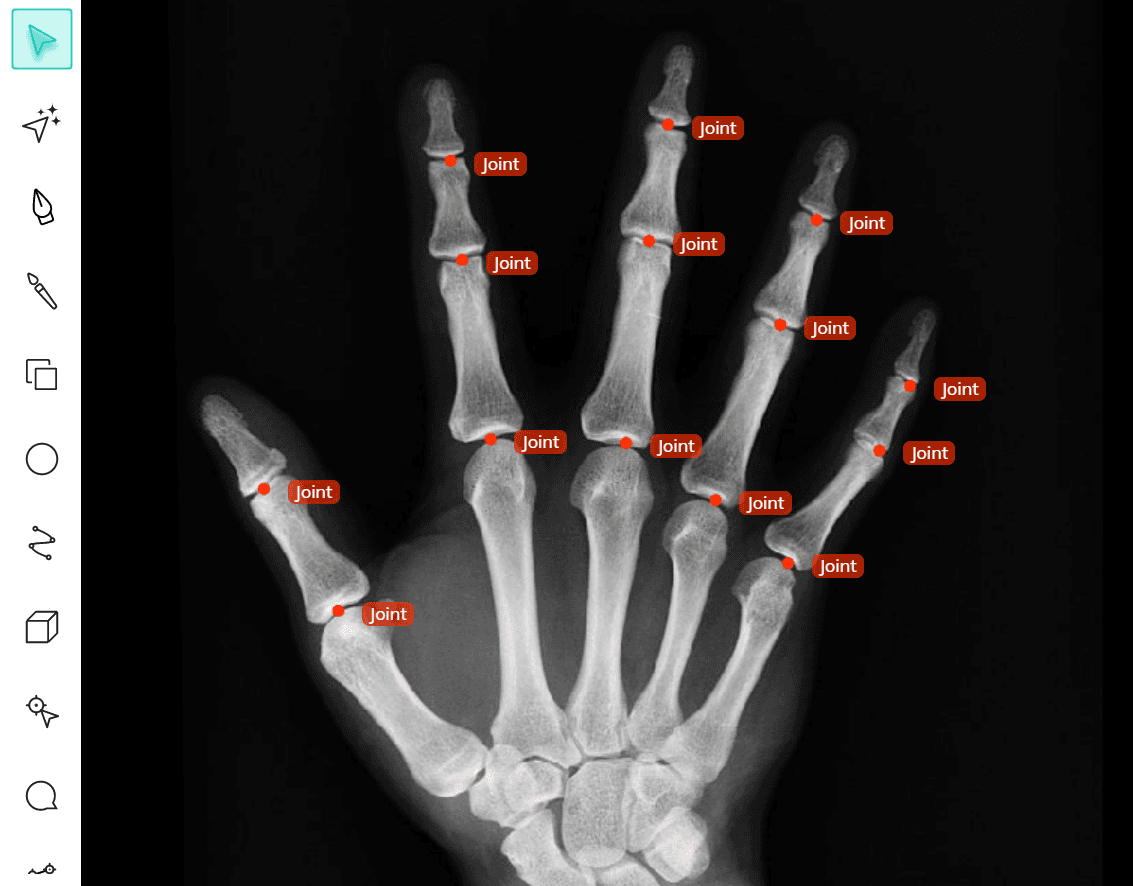 Keypoint annotation of joints in V7