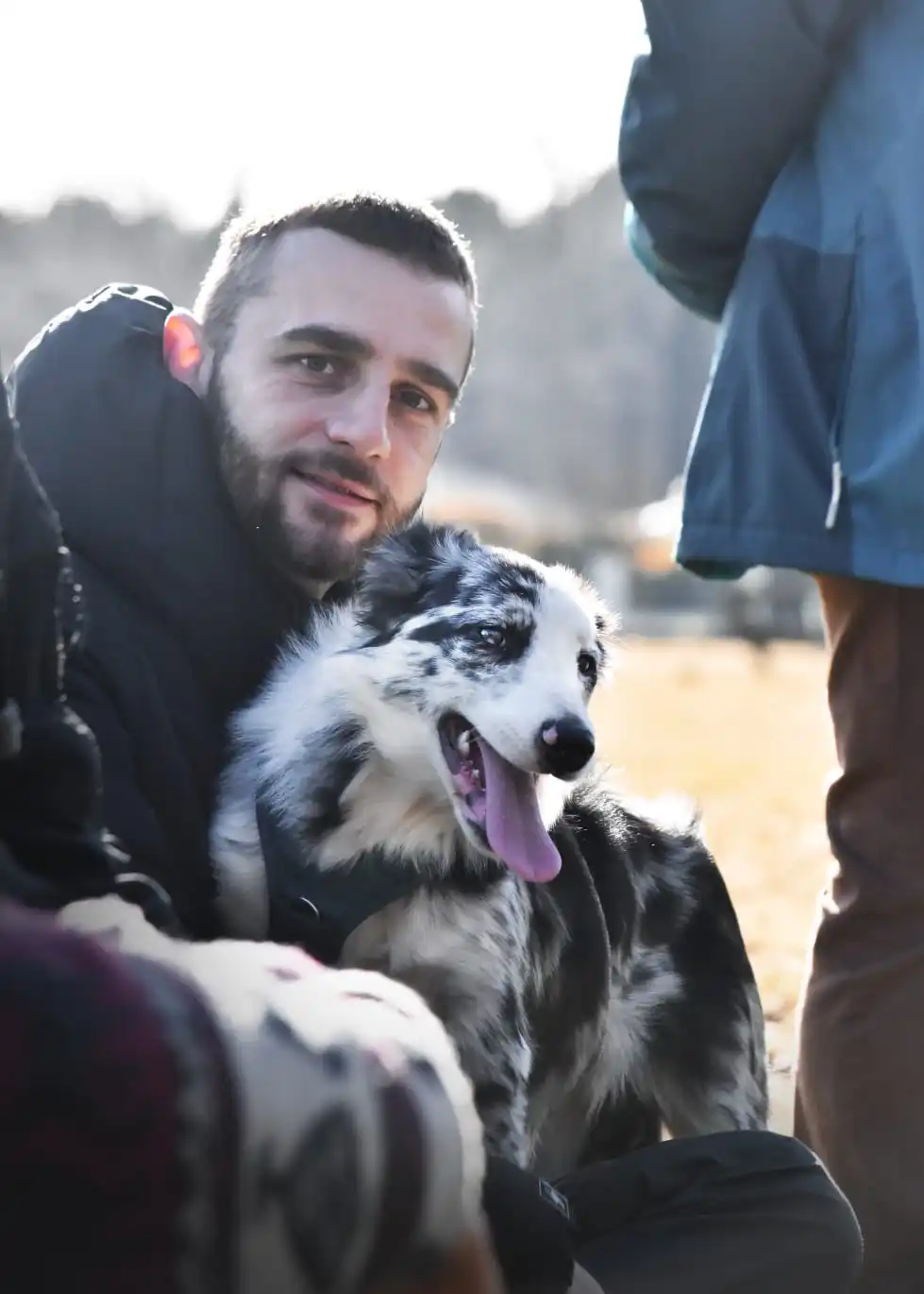 educateur avec un chiot border collie merle dans les bras