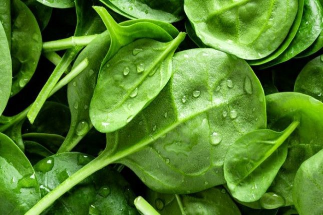 two people looking at a tablet and smiling