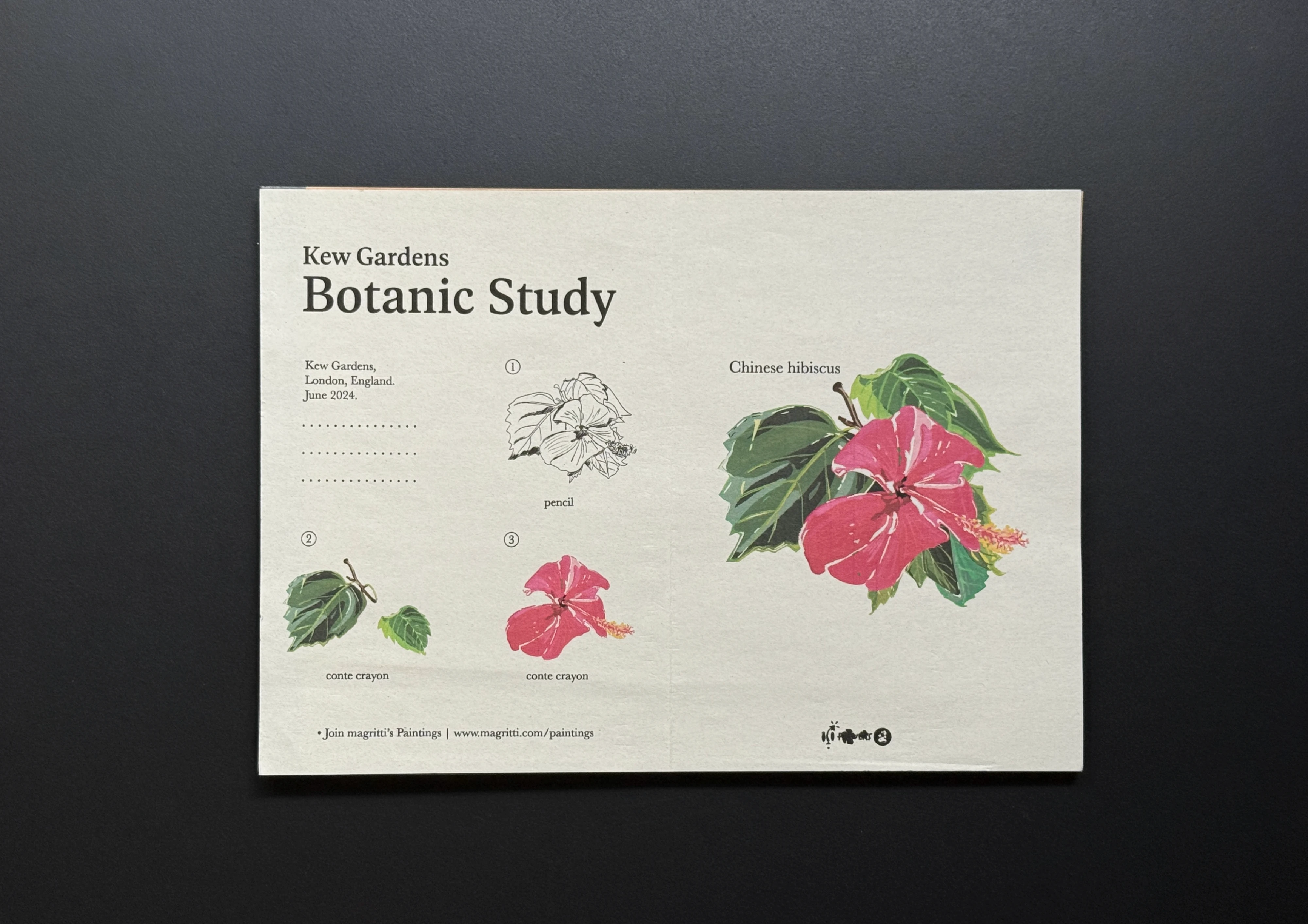 Poster on grey paper with bold display type, a painted red hibiscus and leaves above, and three smaller drawing stages labelled pencil and conte crayon below.