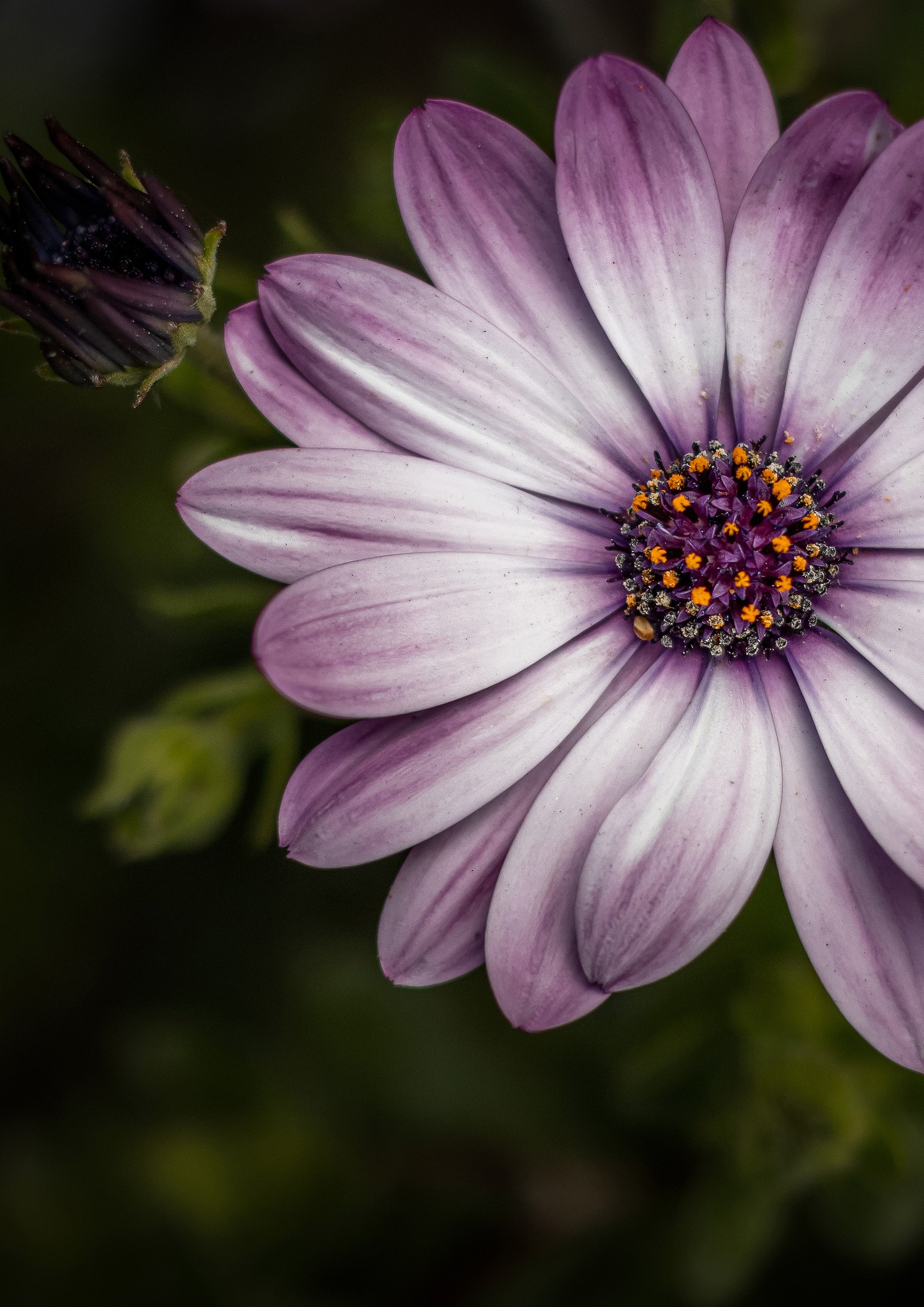Image of a side table with lamp