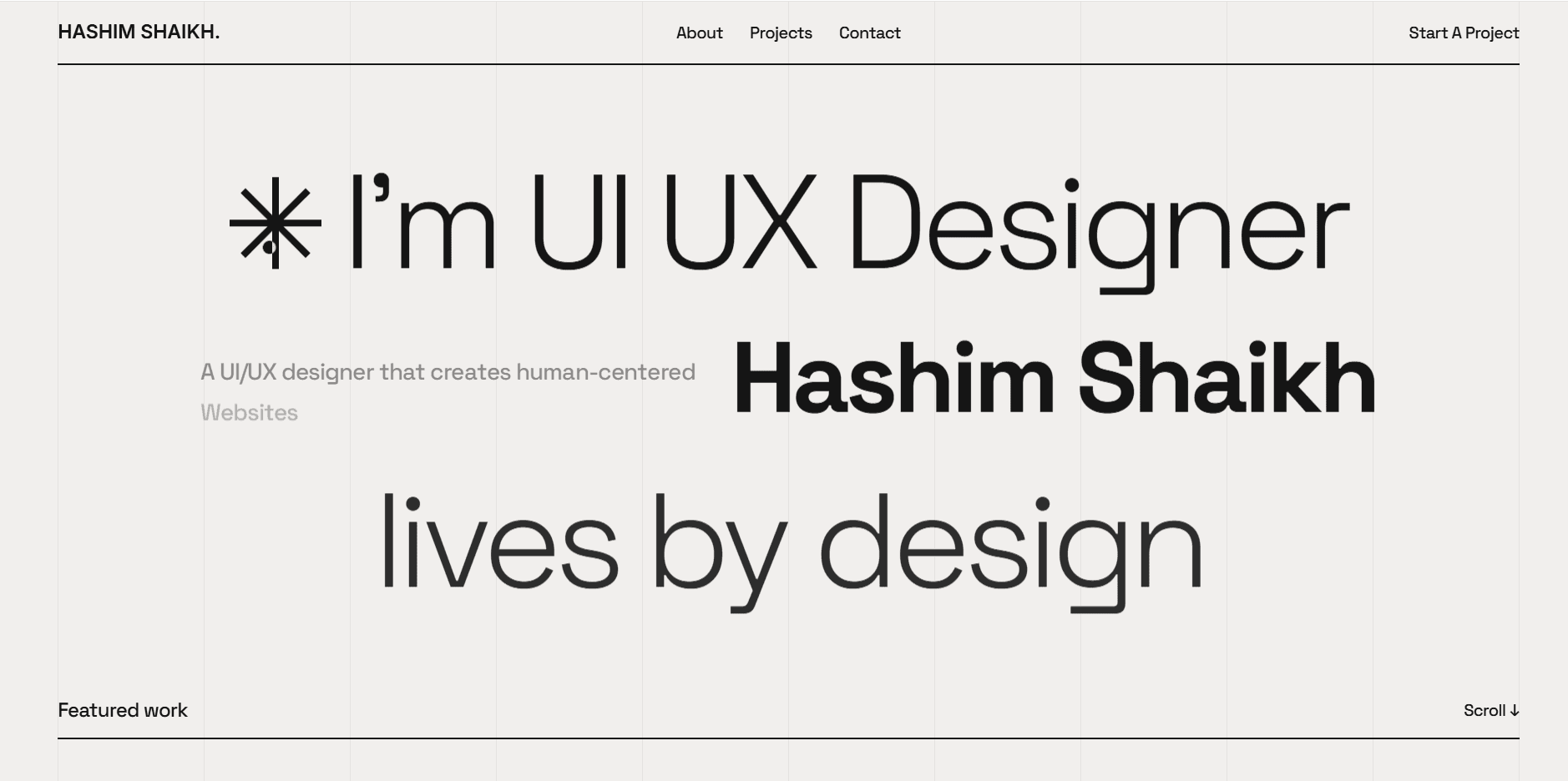 HASHIM SHAIKH. – UI UX Designer