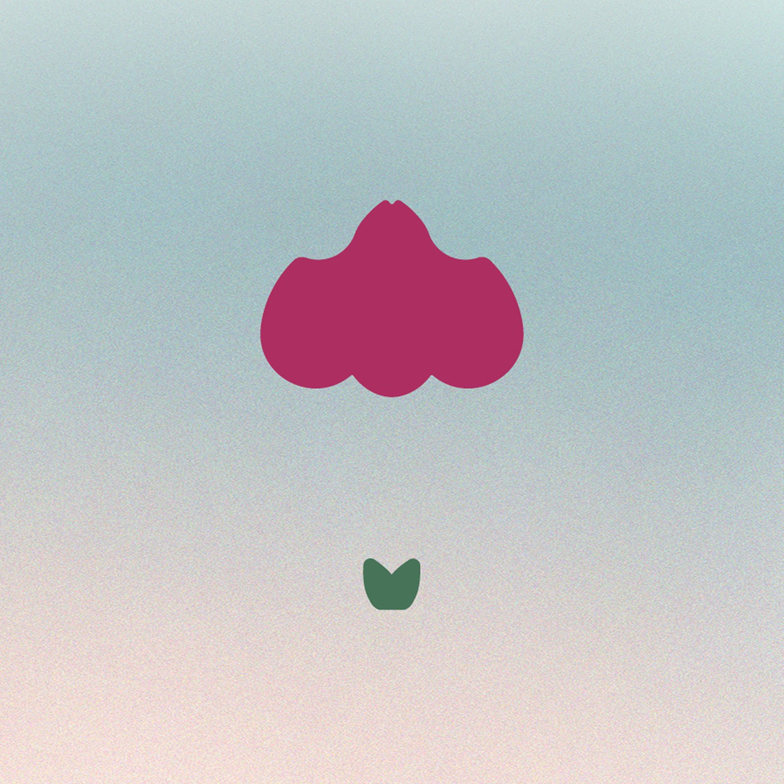 Tiny Botany, Könyvtervezés, Ikon és Illusztráció- Atelier Soie