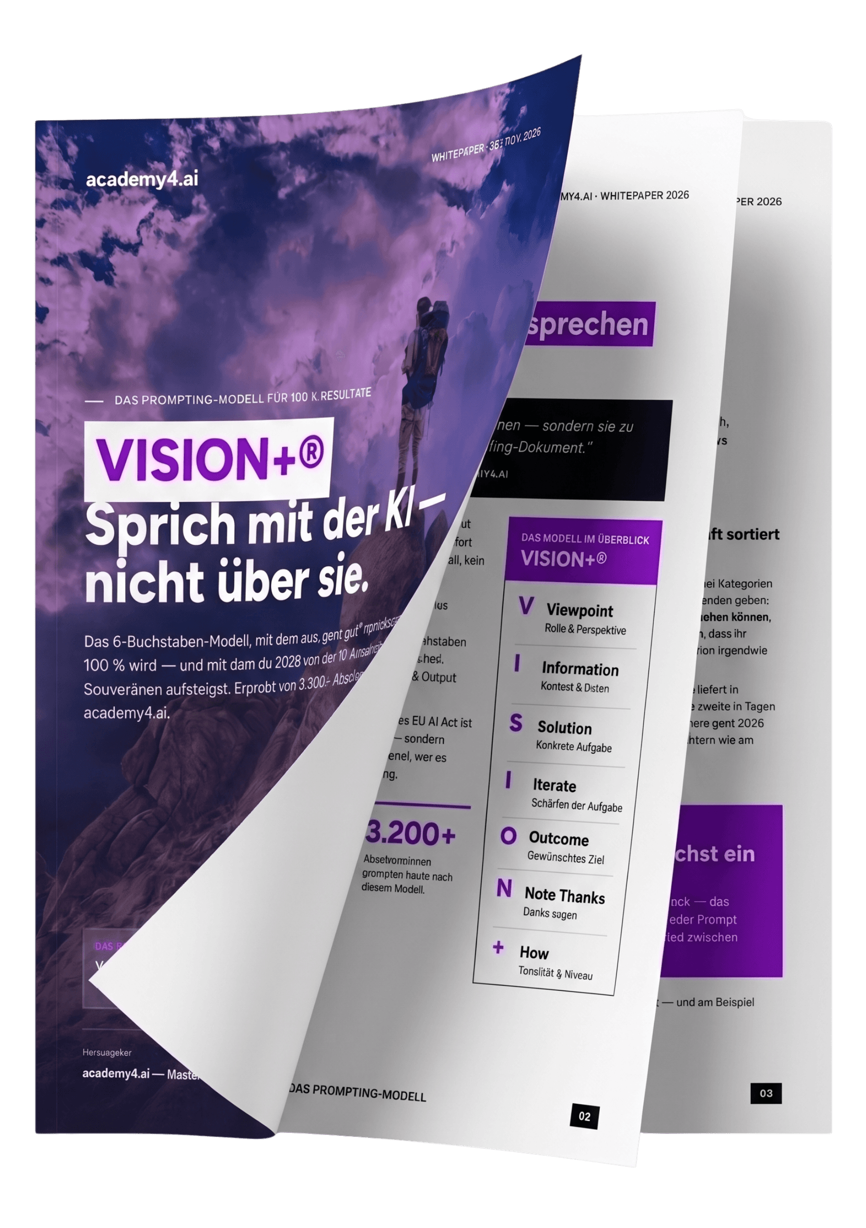Vision+ Modell PDF